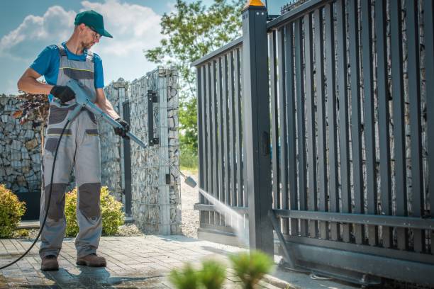 Solar Panel Cleaning